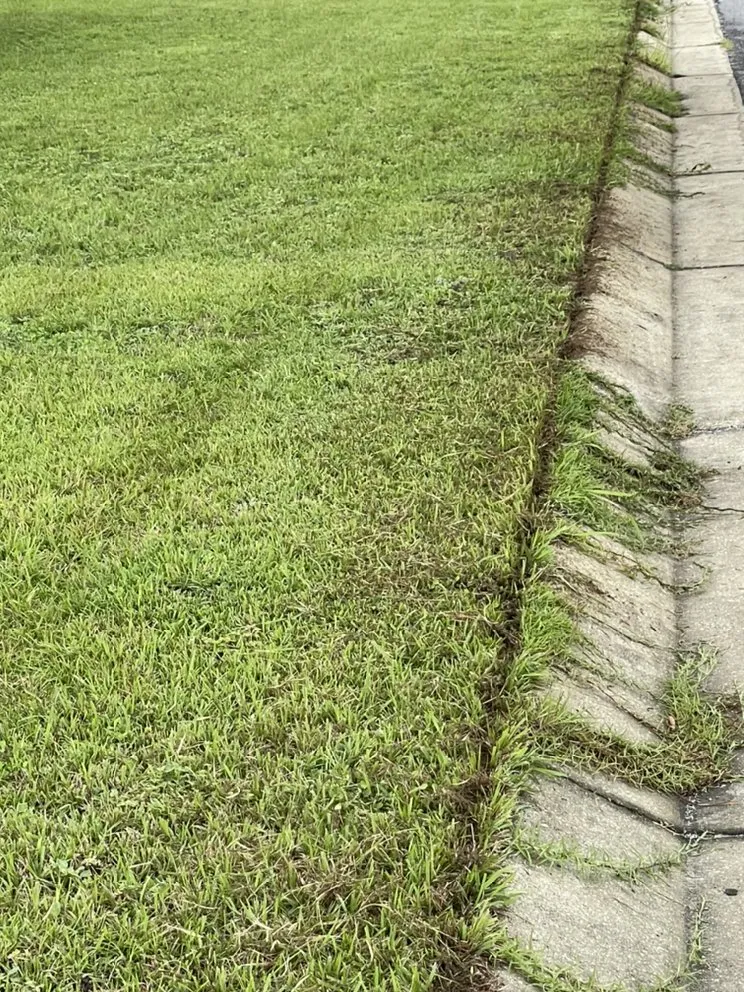 Custom landscape design experts serving Jay, FL - Kelley’s Lawn Service