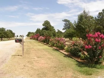 Custom yard cleanup service for residential properties in Newcastle, OK by Kelley's Sprinkler and Landscaping