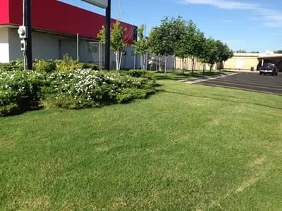 Reliable residential landscaping experts serving Newcastle, OK - Kelley's Sprinkler and Landscaping