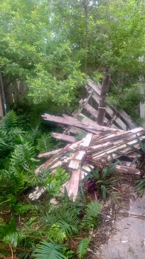 Expert yard maintenance for homes across Boulevard Heights, FL - Kelley’s Work
