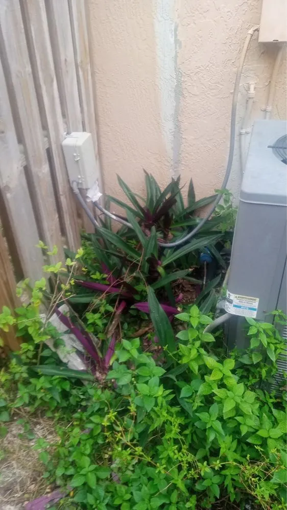 Custom yard cleanup service for beautiful yards across Boulevard Heights, FL - Kelley’s Work