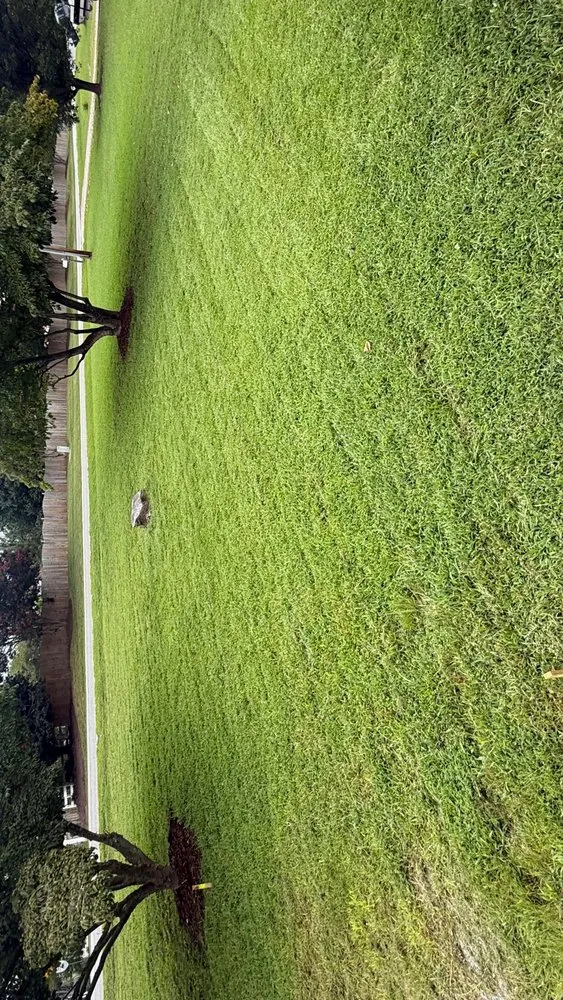 Professional residential landscaping in Richmond, VA - Kelley&Sons