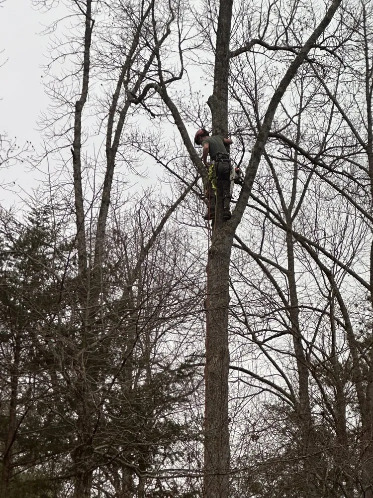 Reliable lawn care service experts serving Buffalo, MN - Kelli's Outdoor Care