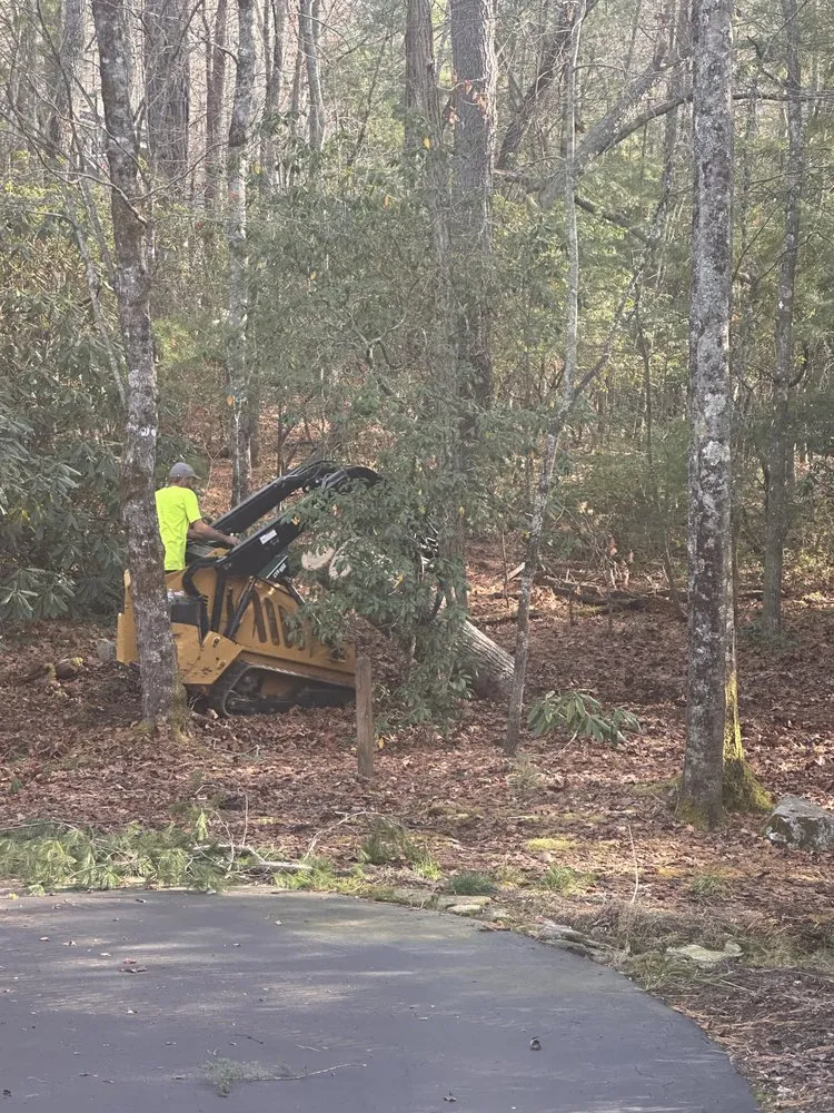 Custom yard cleanup service in Buffalo, MN - Kelli's Outdoor Care