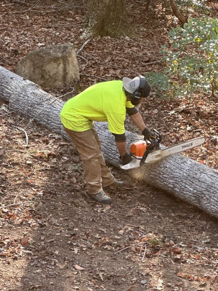 Top-rated residential landscaping near you in Buffalo, MN by Kelli's Outdoor Care