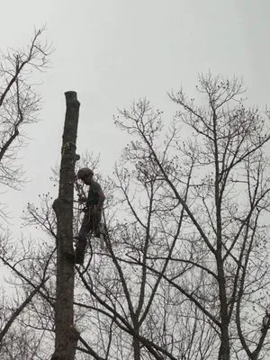 Kelli's Outdoor Care Logo