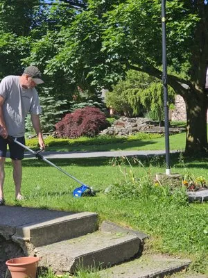 Kellogg's Lawn Care Logo