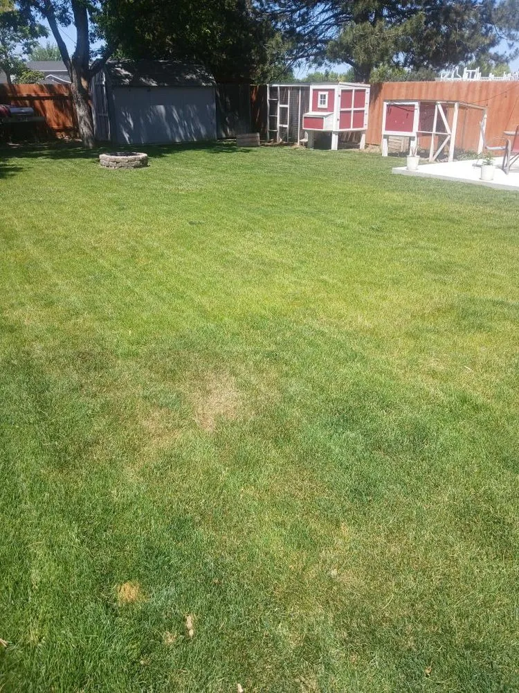 Expert landscaping services in Meridian, ID - Kelly Family Landscape