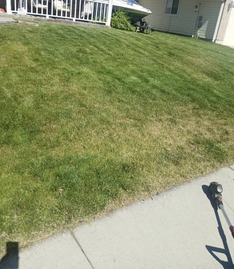 Custom yard cleanup service experts serving Meridian, ID - Kelly Family Landscape