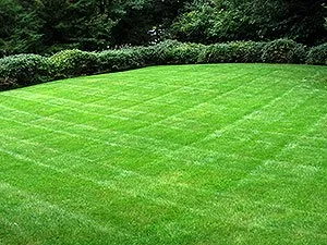 Affordable yard cleanup service in North Chesterfield, VA - Kelly Green Landscaping