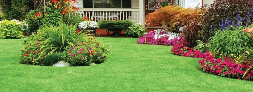 Custom yard cleanup service in North Chesterfield, VA - Kelly Green Landscaping