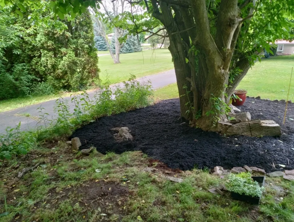 Local landscaping services experts serving Niagara Falls, NY - Kelly Green Lawn Care