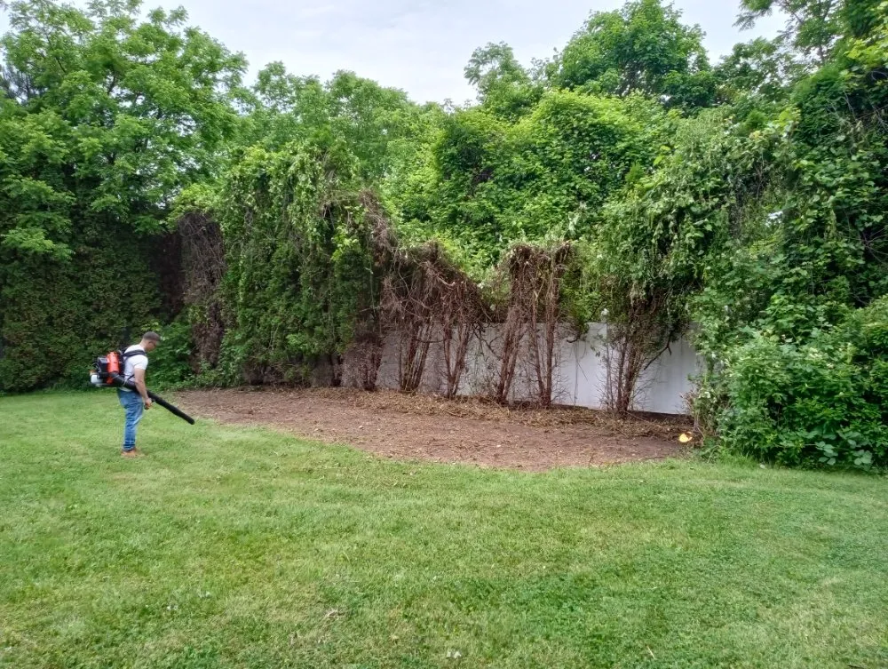 Top-rated lawn mowing service for beautiful yards in Niagara Falls, NY by Kelly Green Lawn Care