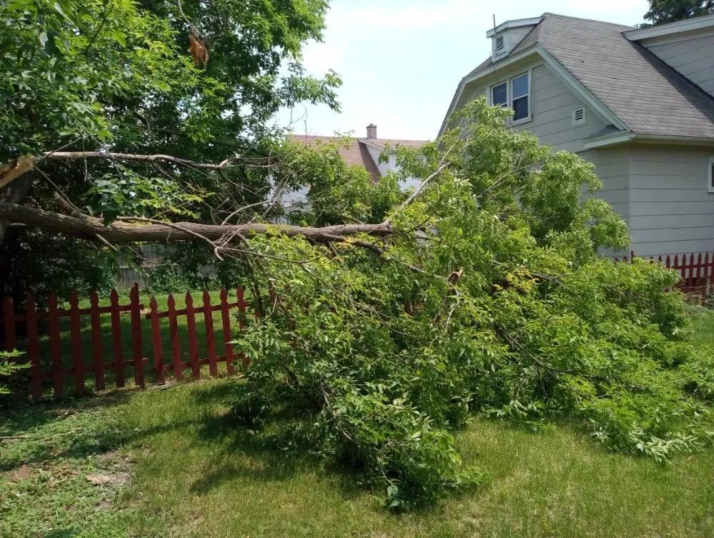 Custom landscaping services experts serving Niagara Falls, NY - Kelly Green Lawn Care