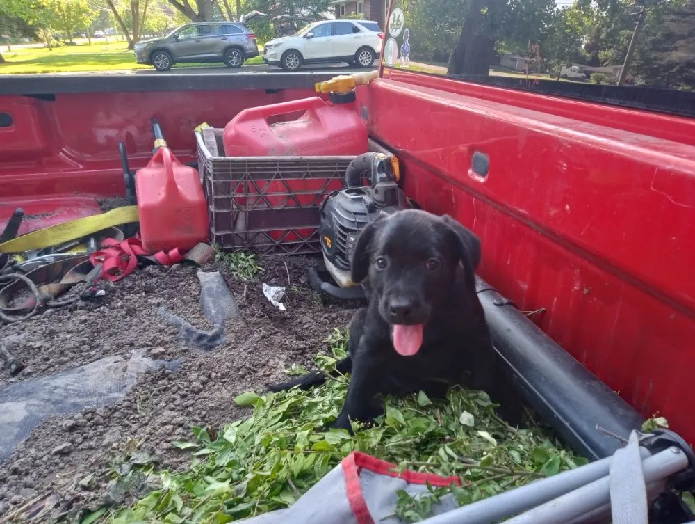 Local outdoor landscaping in Niagara Falls, NY - Kelly Green Lawn Care