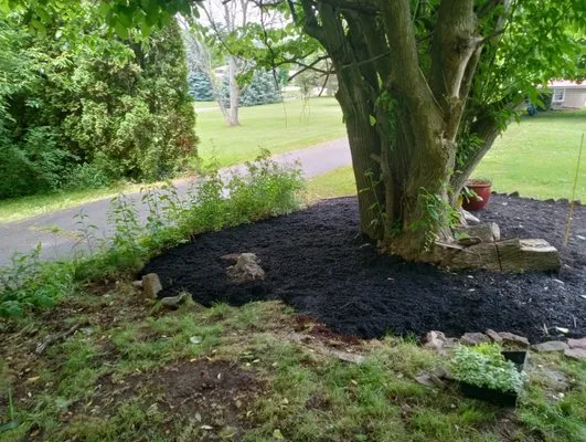 Kelly Green Lawn Care Logo