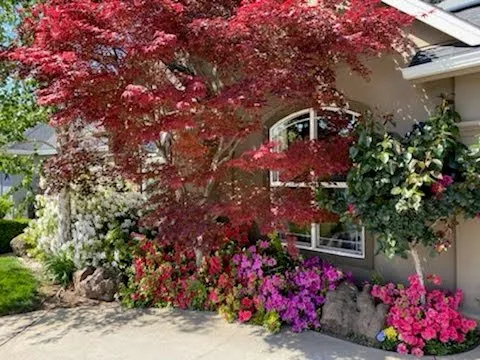 Expert lawn mowing service in Chico, CA - Kelly Green Lawn