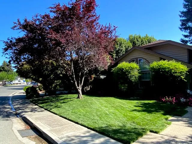 Affordable yard maintenance in Chico, CA by Kelly Green Lawn
