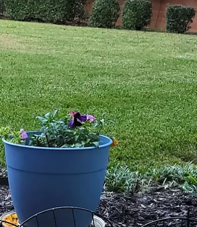 Reliable landscaping services for homes across Burleson, TX - Kelly Green Lawncare