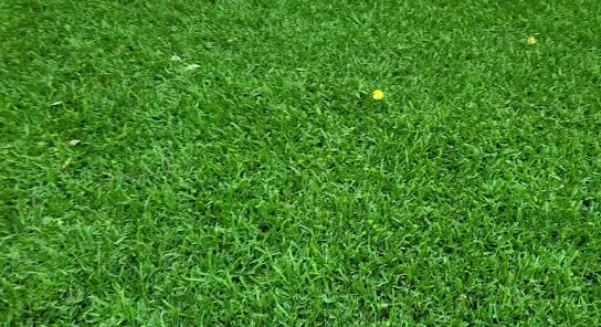 Local landscape design experts serving Burleson, TX - Kelly Green Lawncare