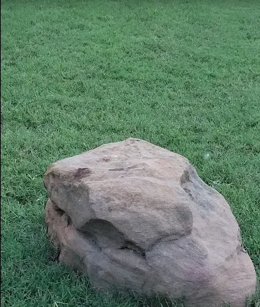 Top-rated yard maintenance in Burleson, TX - Kelly Green Lawncare