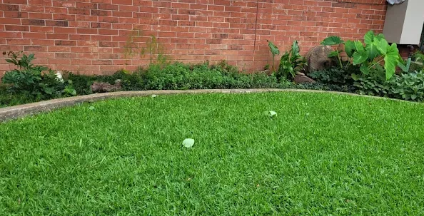 Custom lawn care service in Burleson, TX by Kelly Green Lawncare