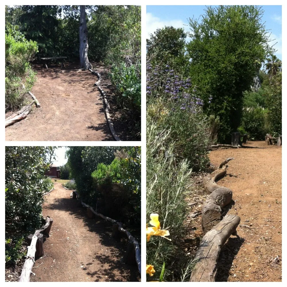 Trusted landscaping services experts serving Encinitas, CA - Kelly Green Native Landscape