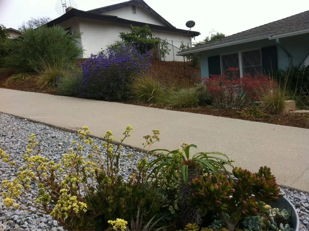 Professional landscaping services in Encinitas, CA by Kelly Green Native Landscape
