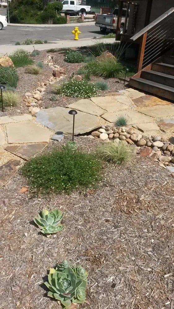 Expert landscape design for residential properties in Encinitas, CA by Kelly Green Native Landscape