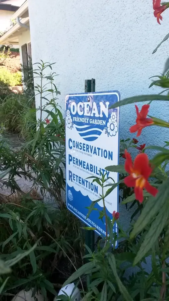 Professional yard cleanup service for beautiful yards in Encinitas, CA by Kelly Green Native Landscape