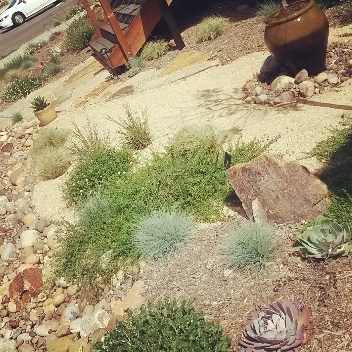 Expert lawn care service near you in Encinitas, CA by Kelly Green Native Landscape