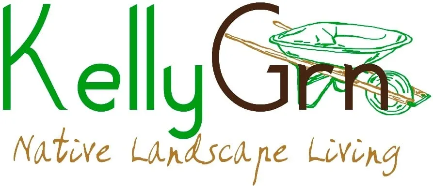 Affordable landscaping services in Encinitas, CA - Kelly Green Native Landscape