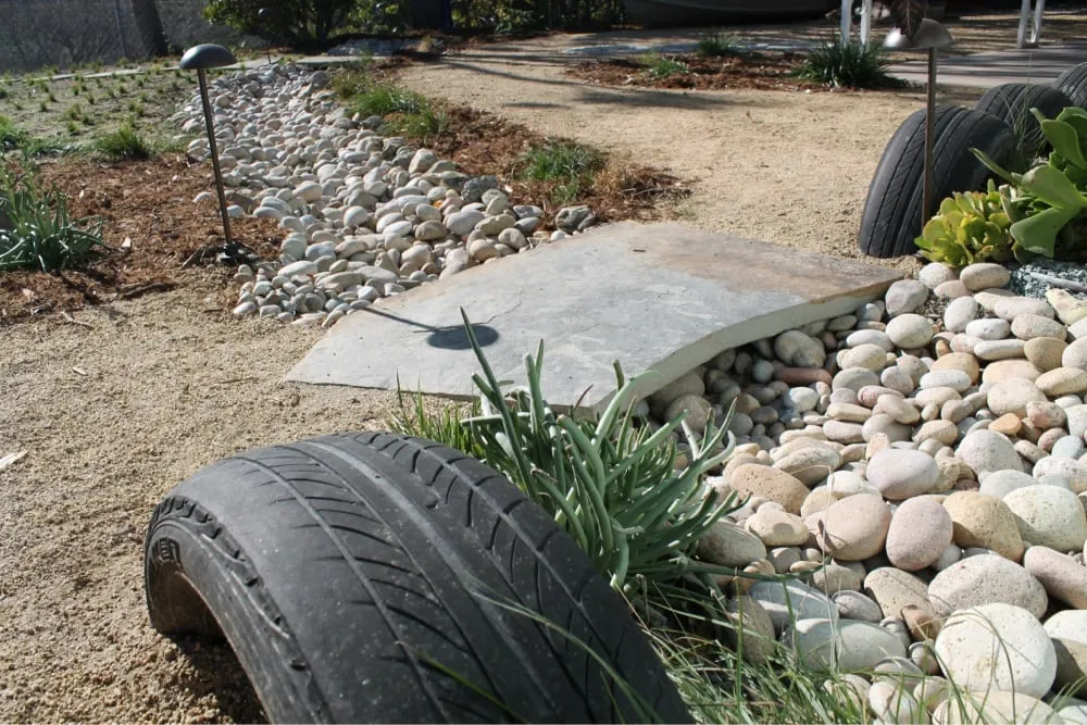 Professional yard cleanup service near you in Encinitas, CA by Kelly Green Native Landscape