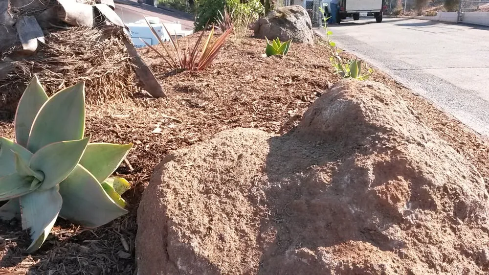 Custom garden landscaping for year-round maintenance across Encinitas, CA - Kelly Green Native Landscape