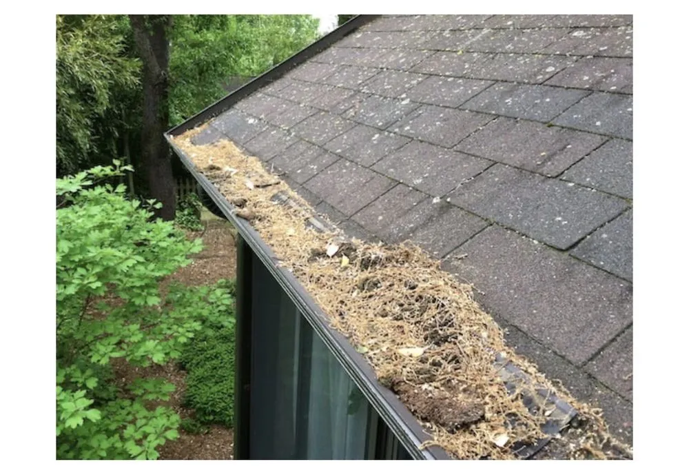 Affordable garden landscaping experts serving West Chester, PA - Kelly Greens Property Maintenance