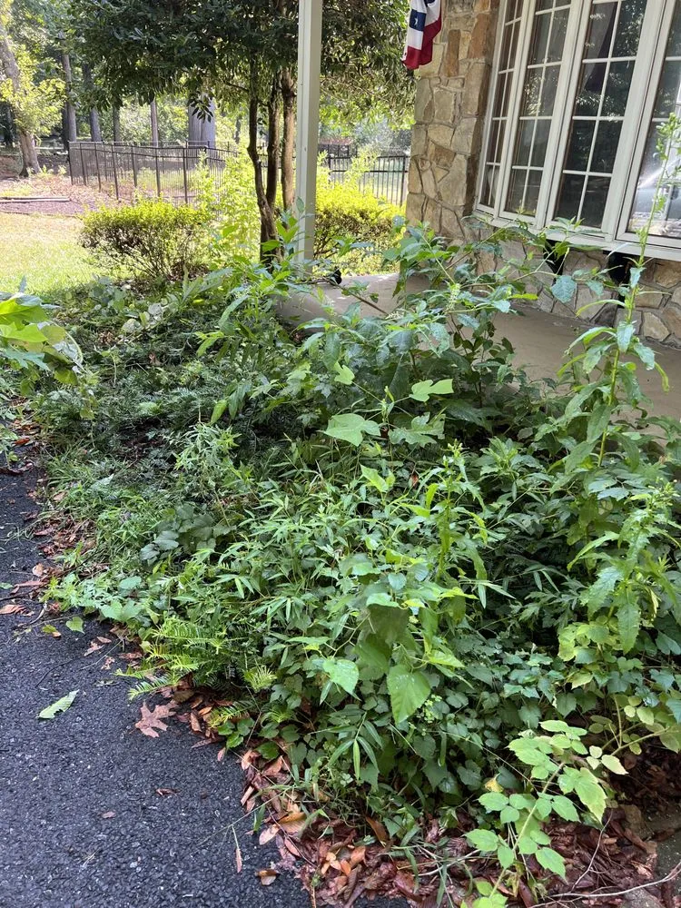 Affordable landscaping services in Lumberton, NJ by Kelly Grounds