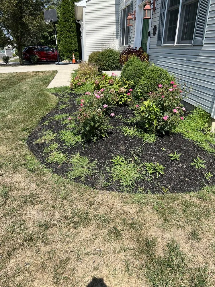 Trusted garden landscaping experts serving Lumberton, NJ - Kelly Grounds