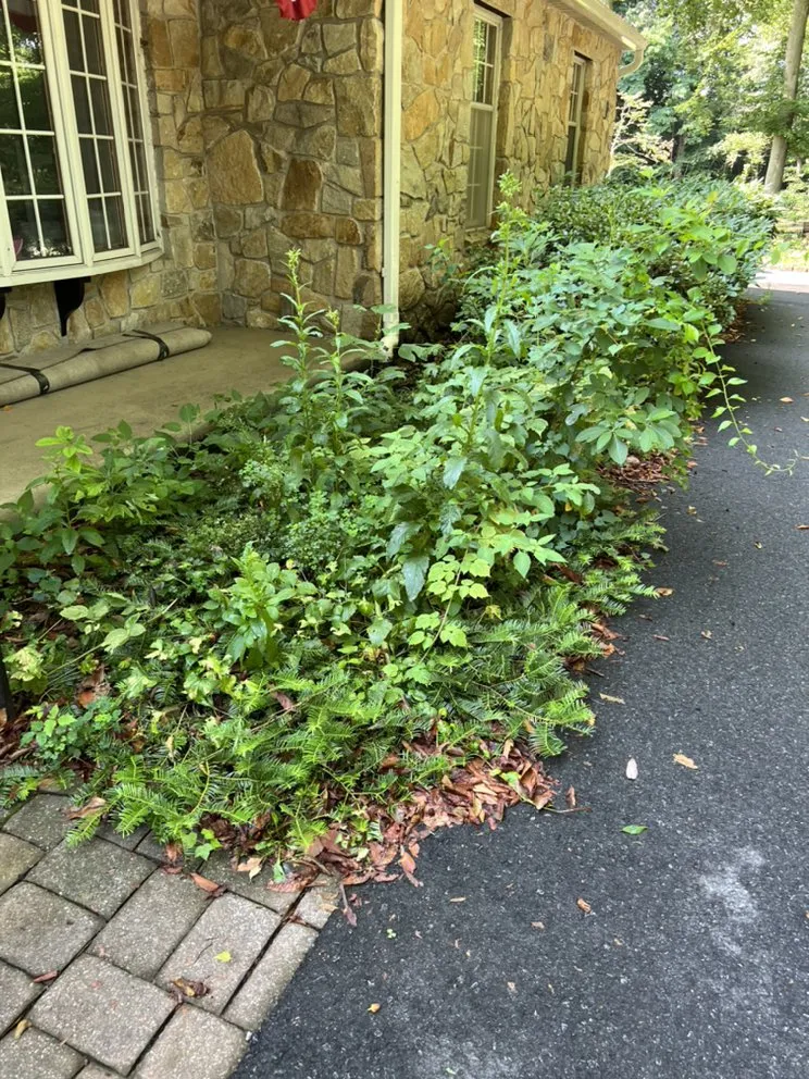 Trusted landscape installation for outdoor upgrades in Lumberton, NJ by Kelly Grounds