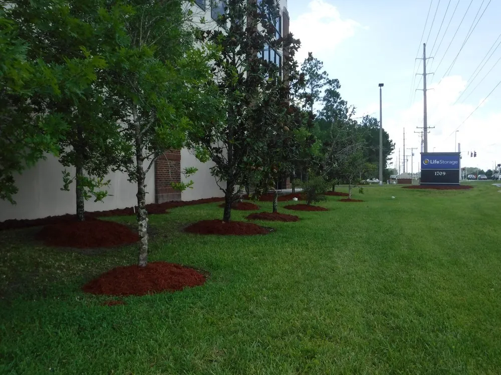 Local garden landscaping experts serving Macclenny, FL - Kelly Klean
