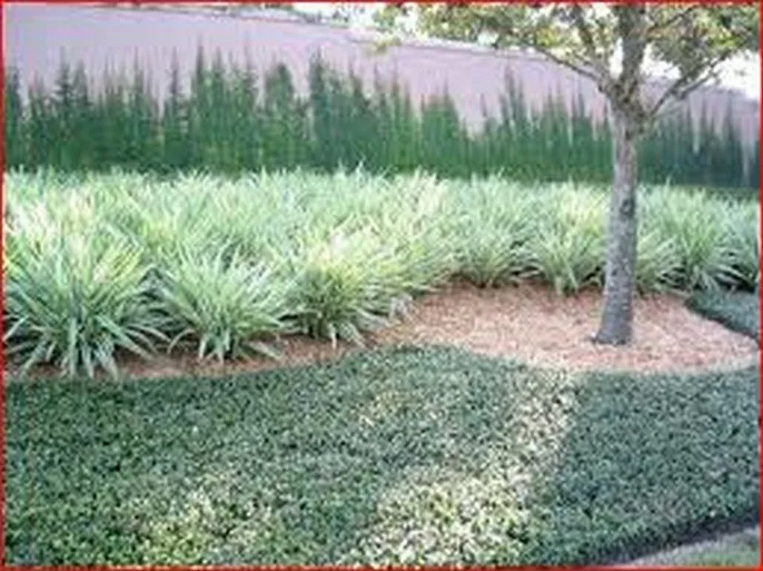 Reliable yard maintenance experts serving Macclenny, FL - Kelly Klean