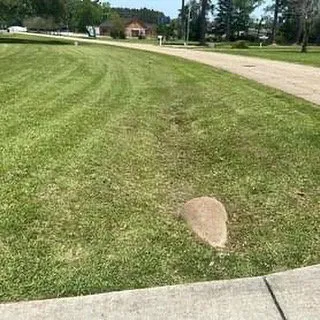 Custom yard cleanup service in Zachary, LA by Kelly Kut It