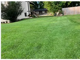 Custom garden landscaping in Lexington, SC by Kelly Kutz