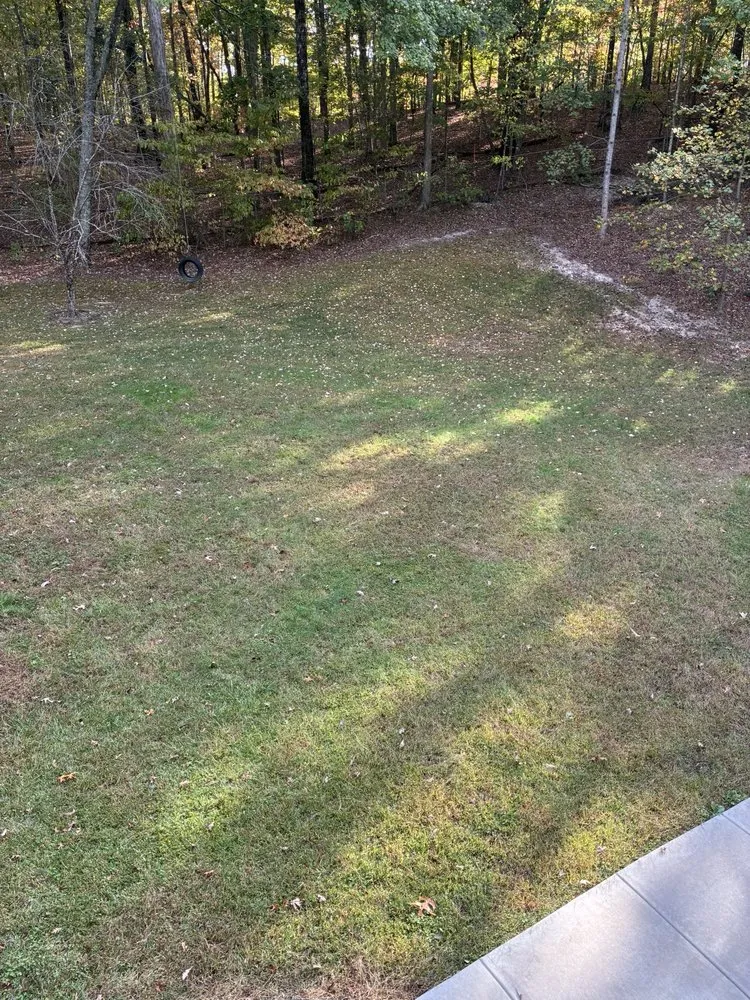 Professional landscape design near you across Dallas, GA - Kelly Landscapes Management