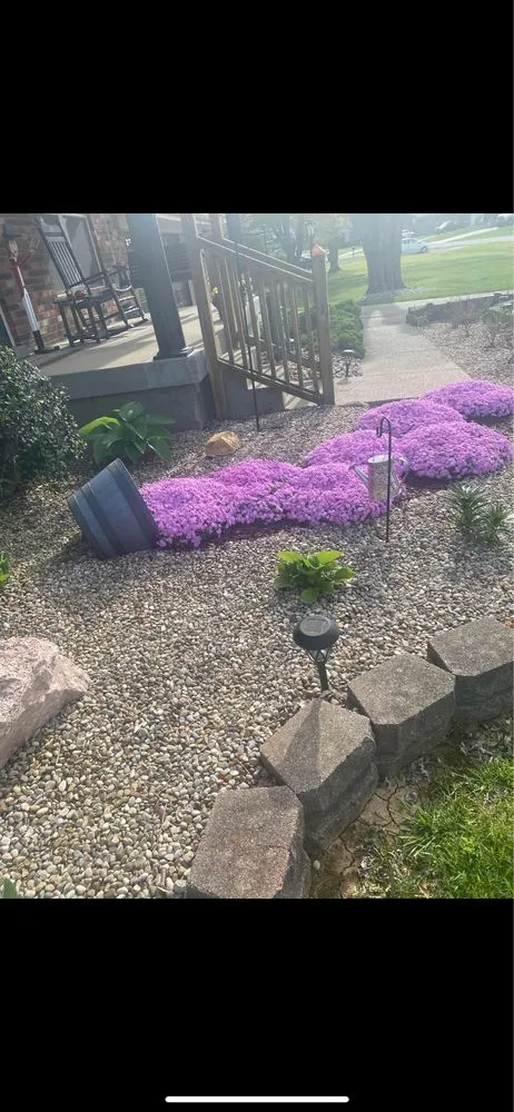 Reliable yard cleanup service for residential properties in San Luis Obispo, CA by Kelly Landscaping & Handyman