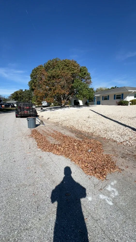 Custom yard cleanup service in Sarasota, FL - Kelly Lawn & Landscape