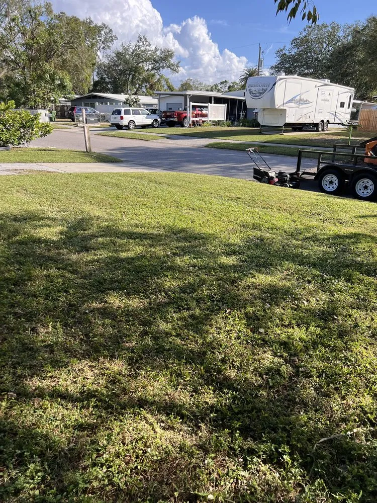 Expert landscape design for beautiful yards in Sarasota, FL by Kelly Lawn & Landscape