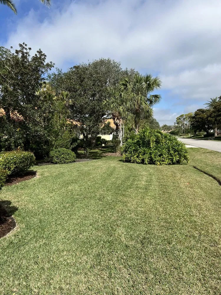 Top-rated landscape design for outdoor upgrades across Sarasota, FL - Kelly Lawn & Landscape