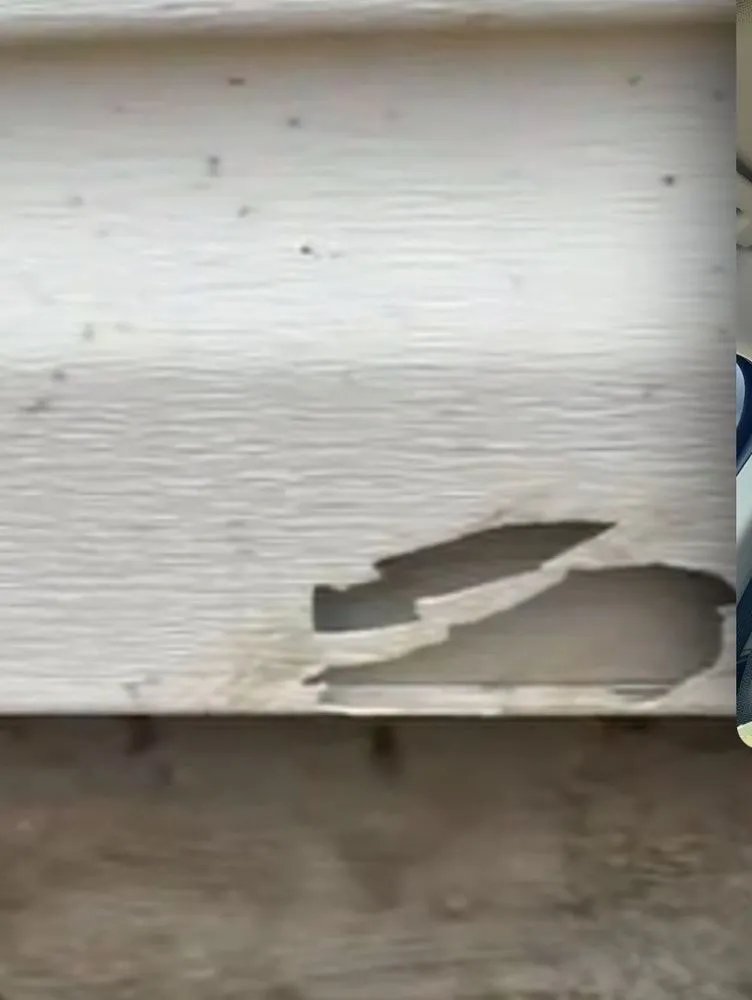 Reliable landscaping services in Jacksonville, AR by Kelly Lawn Care