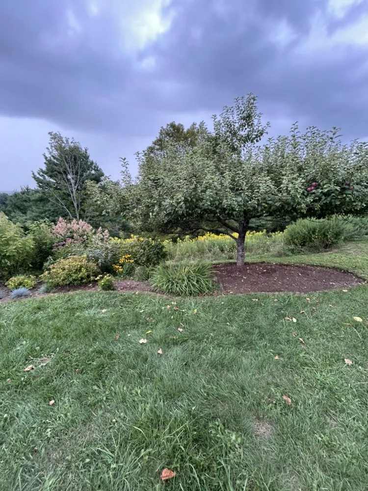 Expert landscape installation experts serving Old Chatham, NY - Kelly Property Maintenance