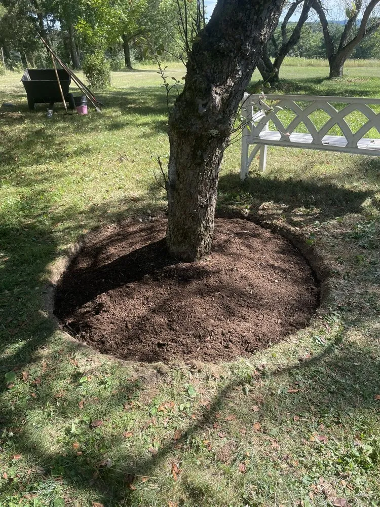 Top-rated yard maintenance experts serving Old Chatham, NY - Kelly Property Maintenance